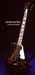 Гитара Joe Perry