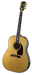 Acoustics- J-45 Custom Vine